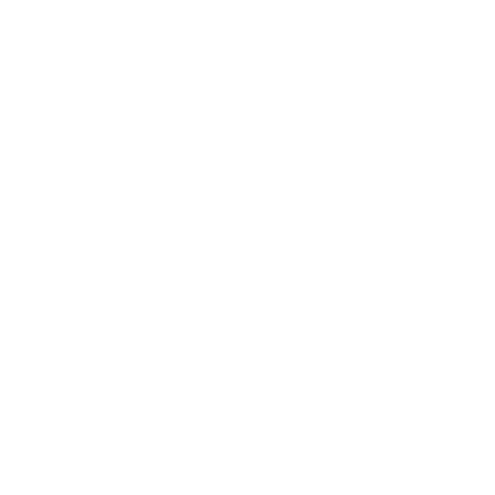 Enrutadores virtuales